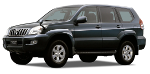 Велюровые коврики в салон Toyota Land Cruiser Prado 120 5D  (2002-2009)