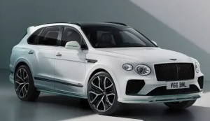Коврики в салон Bentley Bentayga натуральная шкура