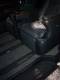 Велюровые коврики в салон Toyota Alphard III (Тойота Альфард 3) + коврик в багажник 