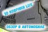3D Ворсовые коврики ЛЮКС (Обзор в авто)
