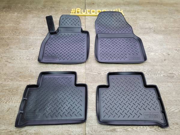 Коврики в салон Renault Scenic (2003-2010) с бортиком